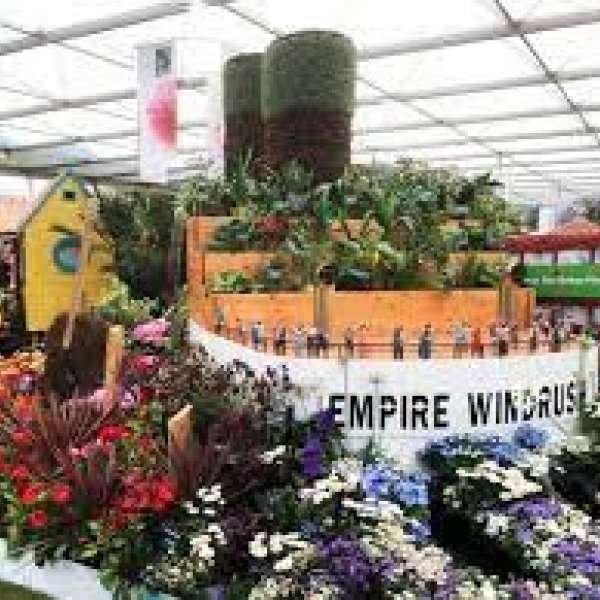 Windrush flower display